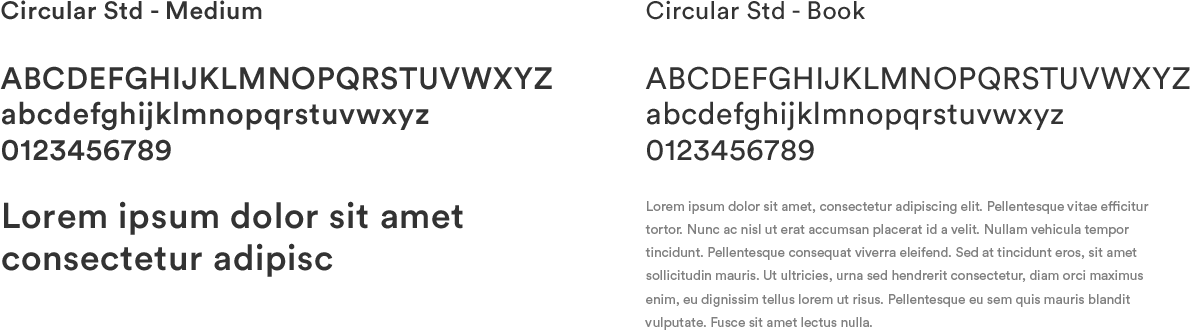 Website Redesign - Typography