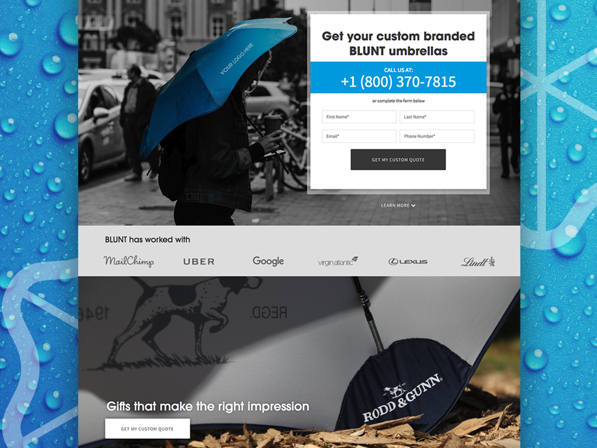 BLUNT Umbrellas Landing Page